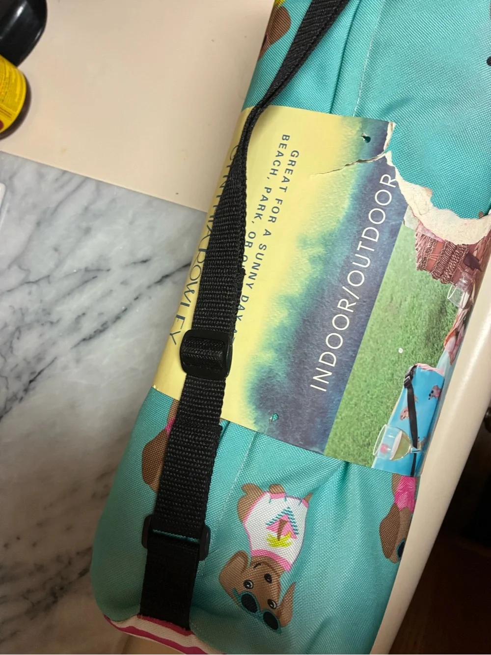 Cynthia Rowley Indoor/Outdoor Reversible Blanket in Teal and Yellow-Green